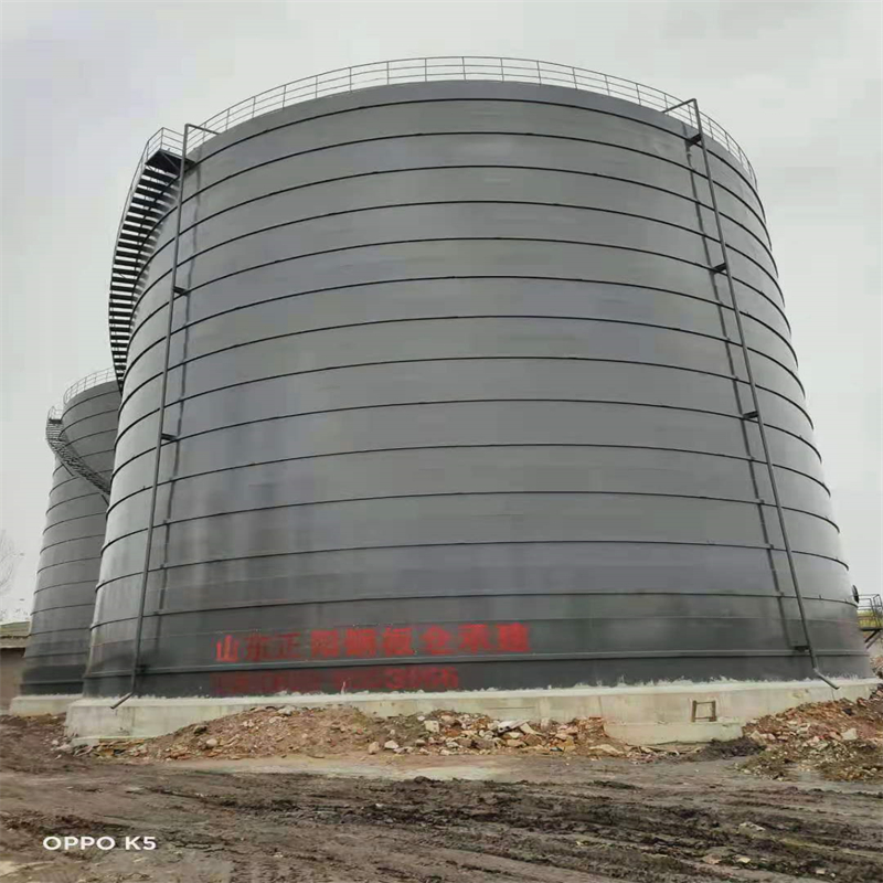 咸丰3万吨大型钢板库