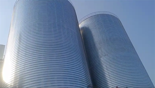 咸丰2座混凝土高架卷板仓